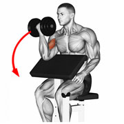 Eccentric muscle contraction