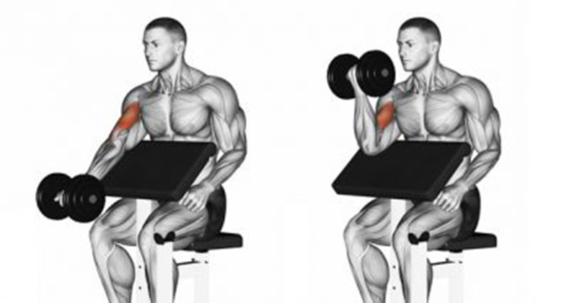 Types of Muscle Contraction