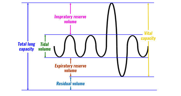 Tidal Volume Chart