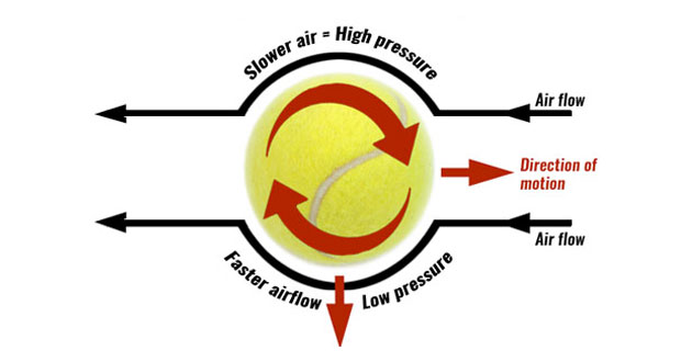 Spin and the Magnus effect