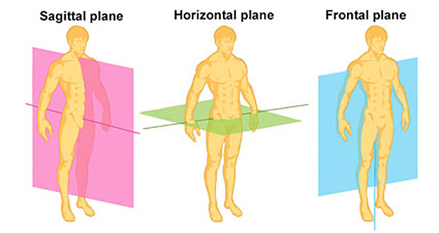 Planes Of Motion - Saggital Plane, Transverse Plane, Frontal Plane