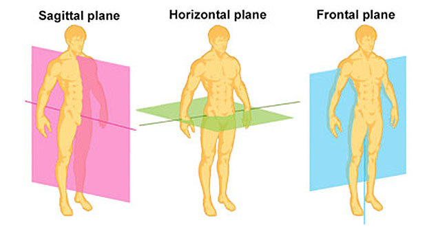 Planes of movement