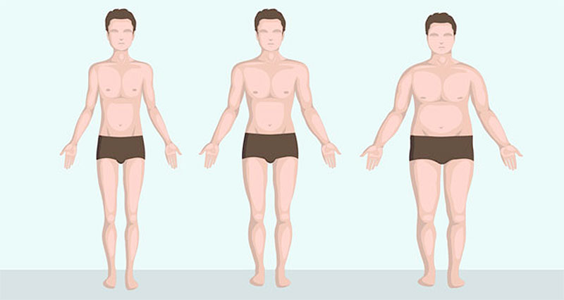body shapes somatotypes