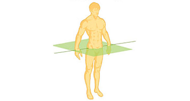 Transverse plane